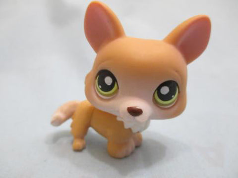Littlest Pet Shop 183 Tan Corgi Puppy Dog Green Eyes Authentic LPS Has Initial Mar13npo22