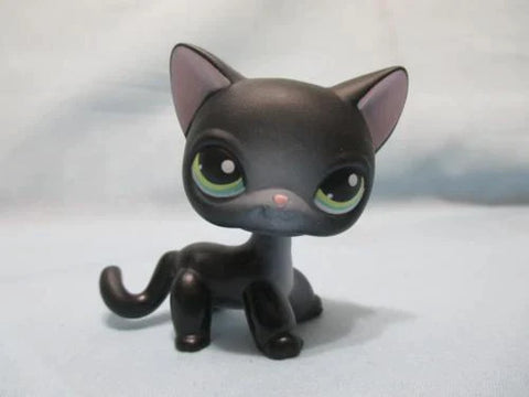 LIKE NEW Littlest Pet Shop Black Shorthair Siamese Cat Kitten 336 Lps Authentic Feb2ni