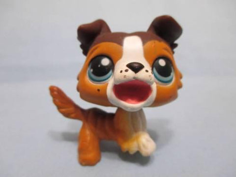 LIKE NEW Littlest Pet Shop Collie Dog Puppy 237 Open Mouth Brown Tan White LPS Authentic Jun12na