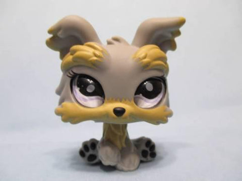 Littlest Pet Shop 883 Yorkie Puppy Dog with Realistic Glass Eyes Authentic Lps Spin Head MAY07J86