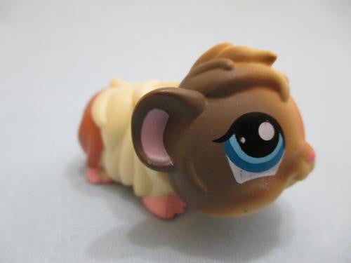 LIKE NEW LITTLEST PET SHOP GUINEA PIG CREAM & BROWN w/ BLUE EYES HAMSTER GERBIL 1418 Feb27n