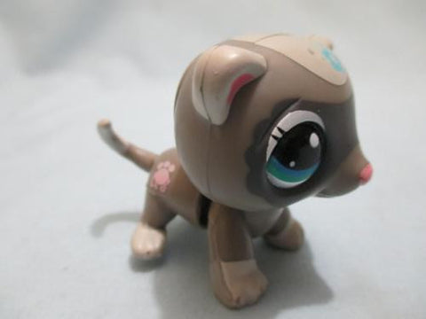 LIKE NEW Littlest Pet Shop 2315 Walkable Ferret Gray Authentic Batteries Not Included OCT08NPO53