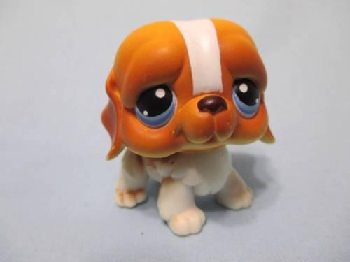 Littlest Pet Shop 76 St Saint Bernard Authentic LPS Nov1npo80