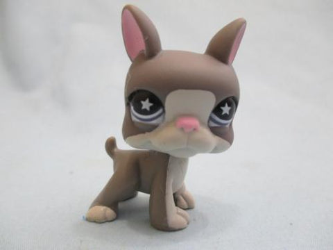 LIKE NEW Littlest Pet Shop Dog Boston Terrier Star Eyes 958 Authentic Lps DEC10J