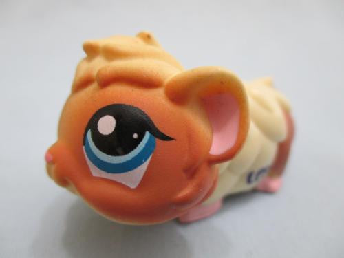 LIKE NEW LITTLEST PET SHOP GUINEA PIG CREAM & BROWN w/ BLUE EYES HAMSTER GERBIL 1418 Feb27n