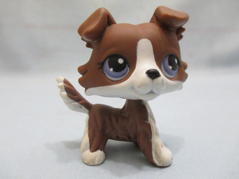 LIKE NEW Littlest Pet Shop No Number Chocolate Brown & White Puzzle Collie Dog Authentic Lps Nov30npoHG