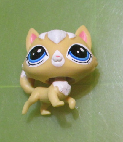 LIKE NEW Littlest Pet Shop New Generation 61 Golden Shores Kitten Kitty Cat Authentic LPS Apr25ni