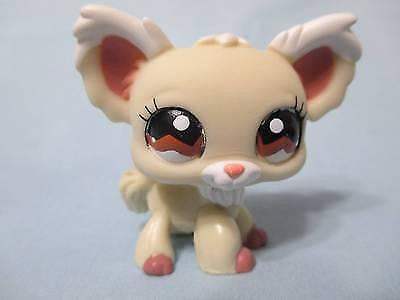 Littlest Pet Shop 1199 Cream Long Hair Chihuahua Dog Brown Eyes Authentic Apr17npo12