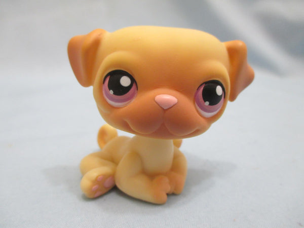 Littlest Pet Shop LPS Costco Exclusive Pug with No number Purple Eyes Authentic Lps AIK APR13J