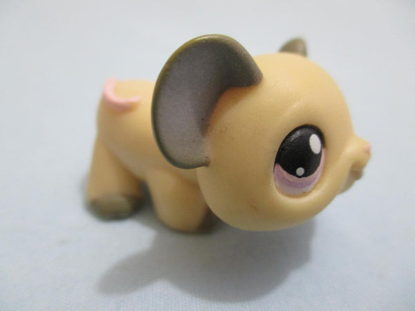 LIKE NEW Littlest Pet Shop 115 Tan Mouse Pink eyes  Authentic Lovely Lps Dec06npo29
