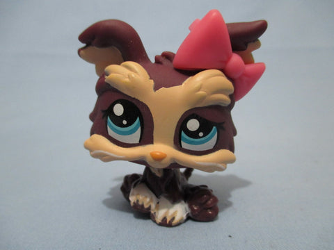 Littlest Pet Shop 1473 Dark Purple Tan Yorkie Puppy Dog w Original Accessory Bow Authentic Exclusive MAY24J