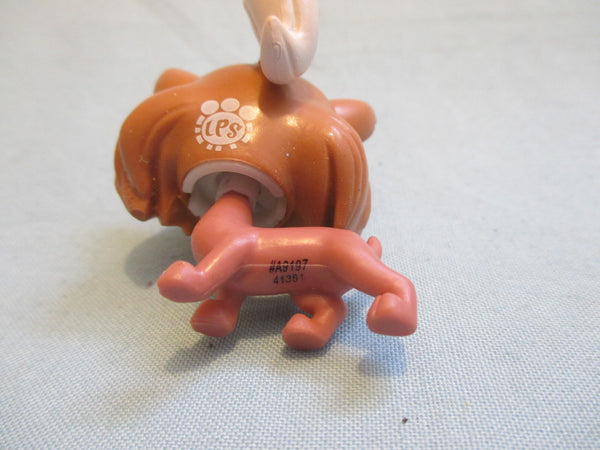 Littlest Pet Shop 3802 Terri Bowman Yorkie Terrier Dog Authentic LPS Mar16ni