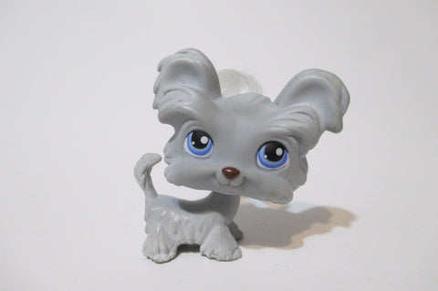LIKE NEW Littlest Pet Shop Gray Yorkie 227 Dog Puppy Yorkshire Authentic Apr21n