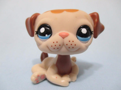 Littlest Pet Shop Pug 1753 Brown And Tan Dog Authentic Lps May02npo18