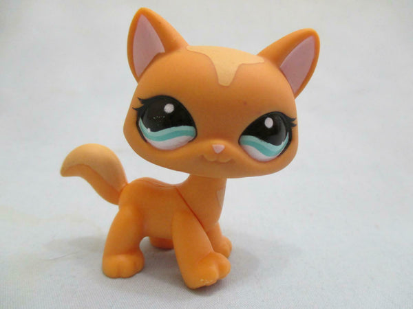 Littlest Pet Shop Brown Walking Shorthair Cat 1100 Teal Blue Eyes Authentic Lps FEB11J SEE VIDEO